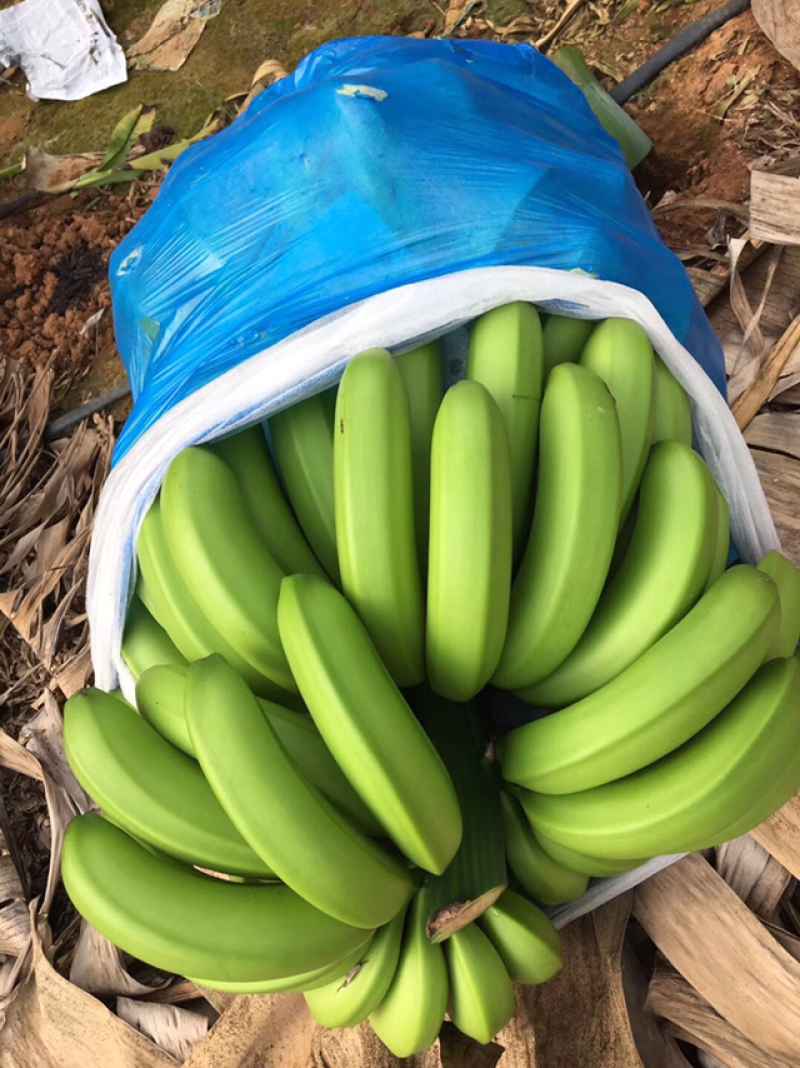 香蕉