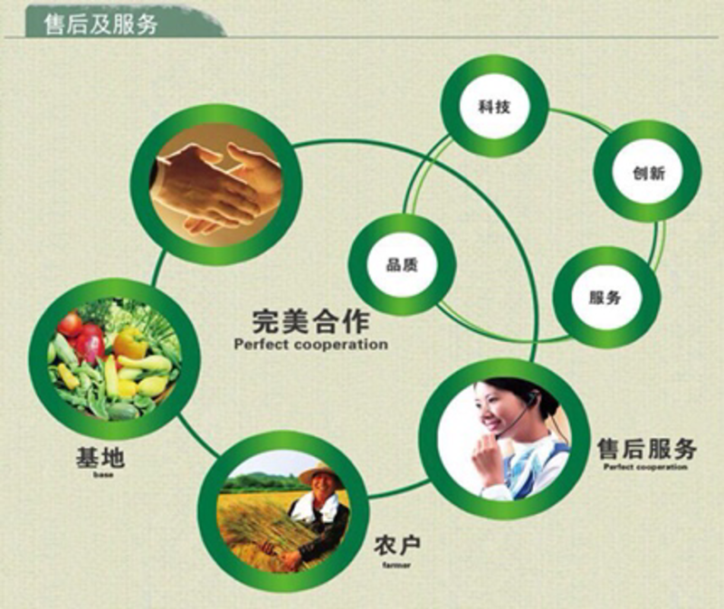 果旺氯吡脲0.1%提高座瓜率增产调节生长生长