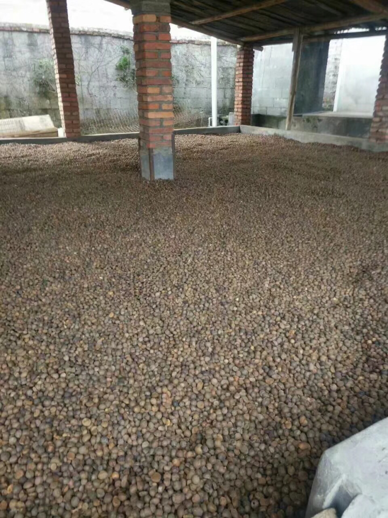 山茶油