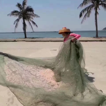 虾皮