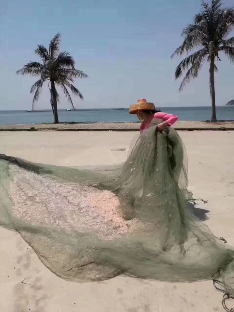 虾皮