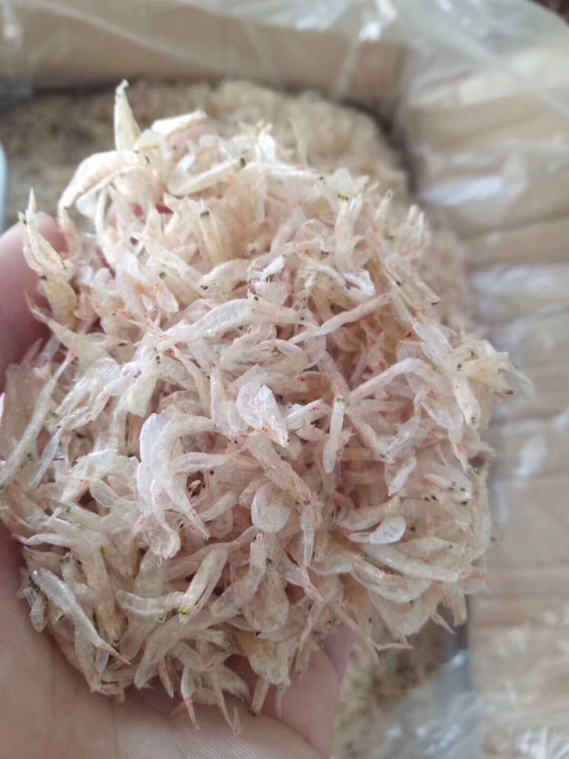虾皮
