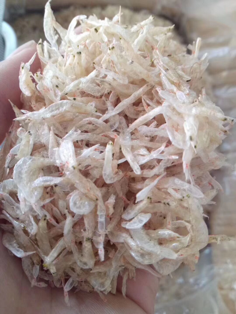 虾皮