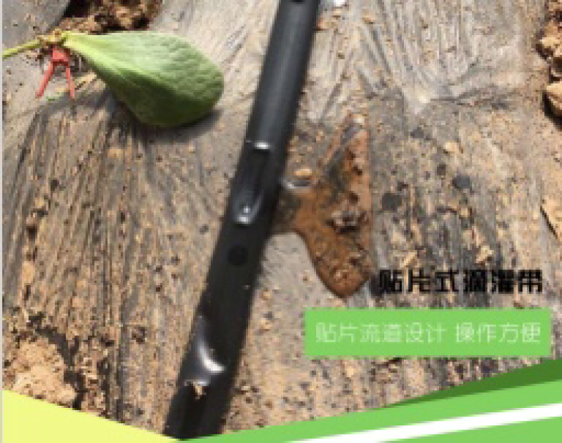 农用滴灌带优质材料贴片式滴灌带大棚蔬菜农用节水灌溉滴