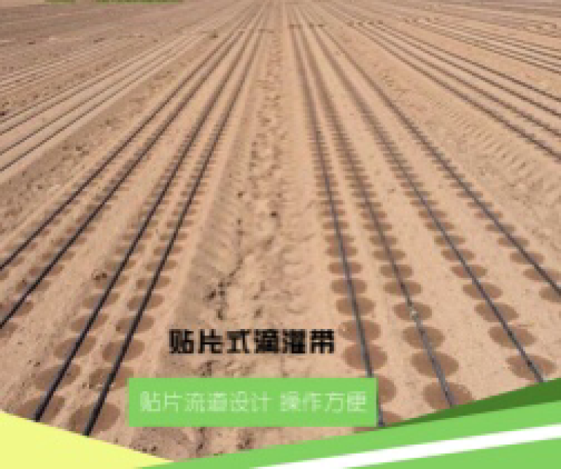 农用滴灌带优质材料贴片式滴灌带大棚蔬菜农用节水灌溉滴
