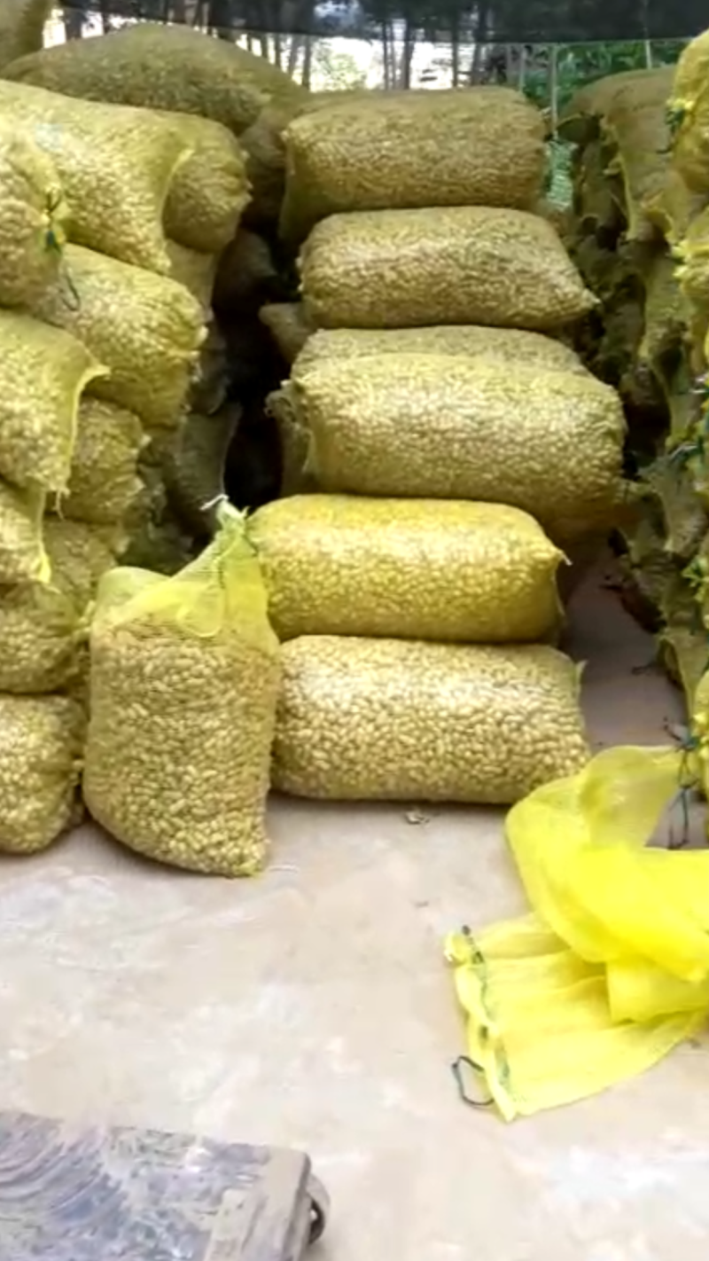 预订鲜花生干花生花生米花生果🥜🥜🥜🥜