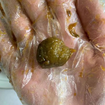 酵素梅，青梅蜜饯，青梅果铺。除了糖，没有任何添加剂