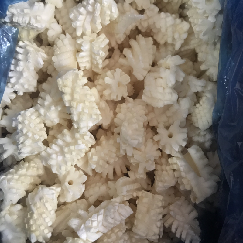 鱿鱼花