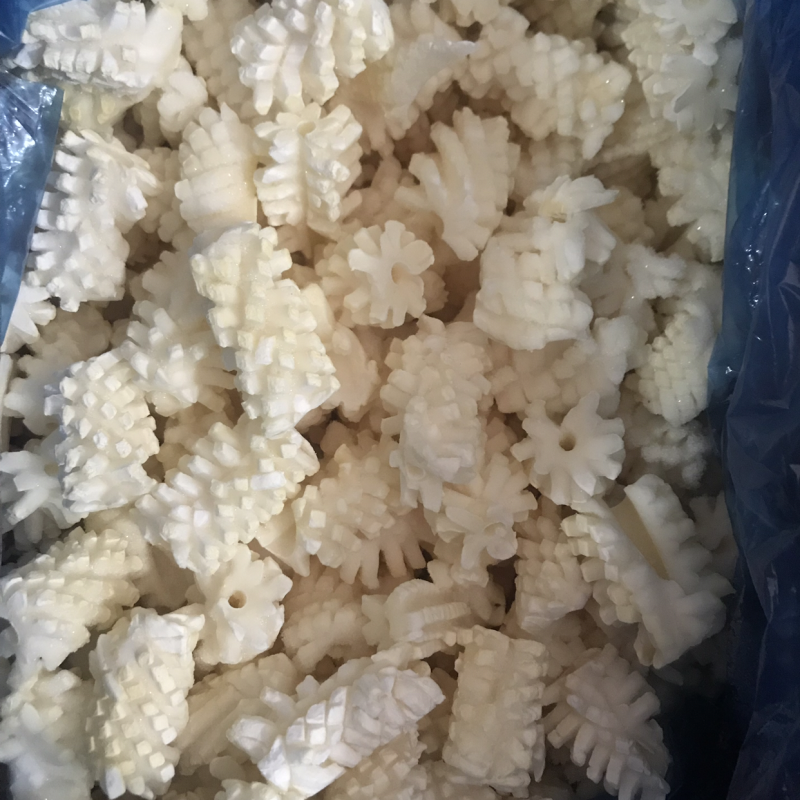 鱿鱼花