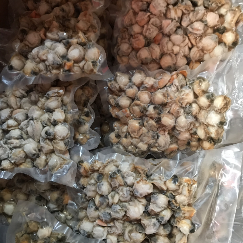 无沙无冰衣超好吃的扇贝肉