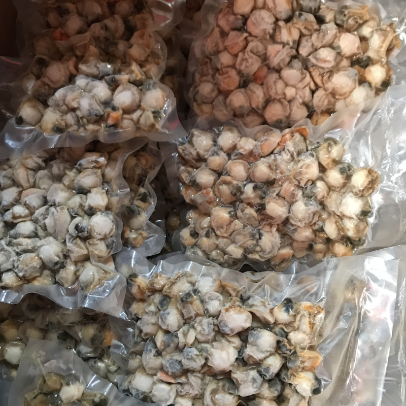 无沙无冰衣超好吃的扇贝肉