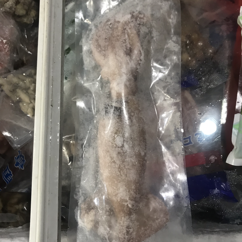 阿根廷大鱿鱼到货了？