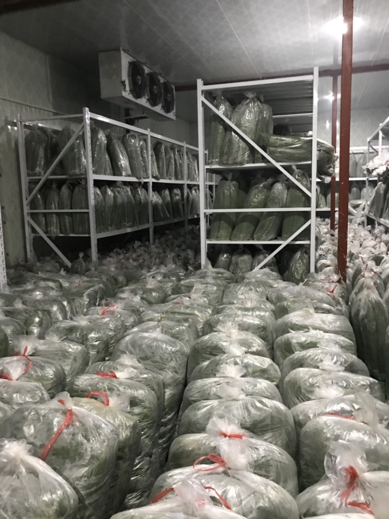 冷库300平，一个月10000万