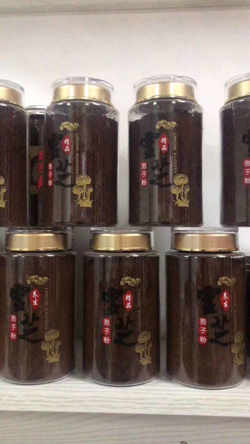 大量现货灵芝，灵芝孢子粉，鹿角灵芝，灵芝盆景