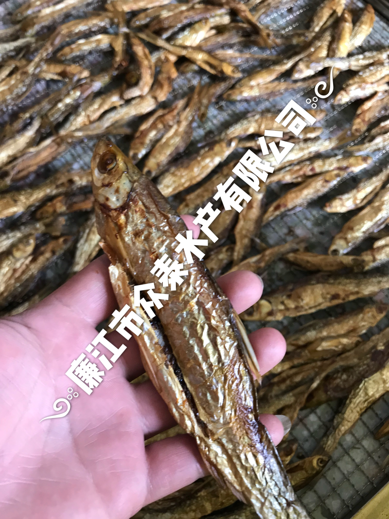 烘干烟熏镰刀鱼一手货源