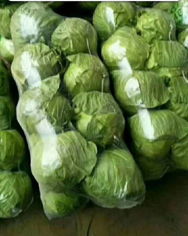 永年甘蓝大量上市，货源稳定，大量有货，诚信经营，欢迎联系