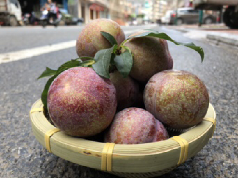 钱排三华李#礼品果，超市供应#社区团购！
