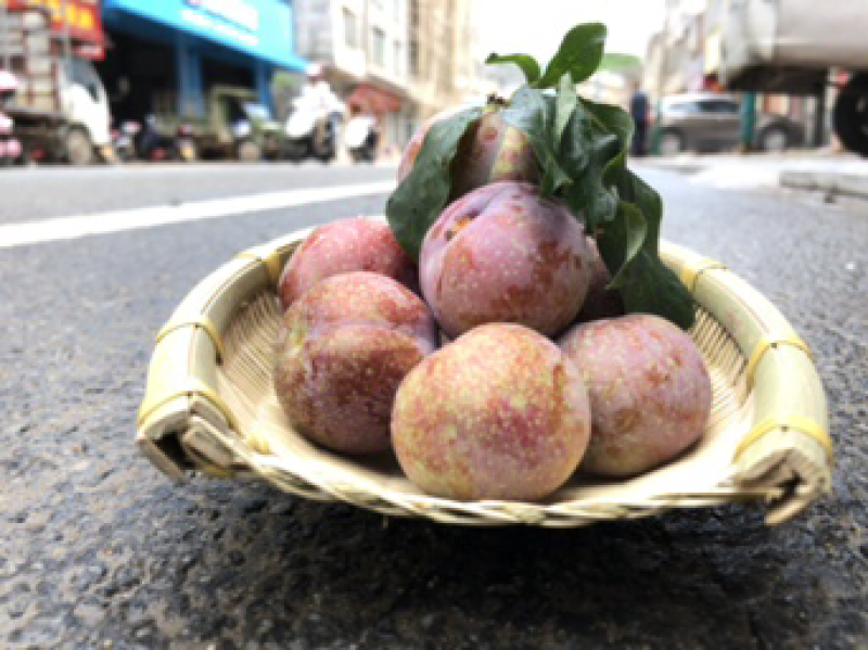 钱排三华李#礼品果，超市供应#社区团购！
