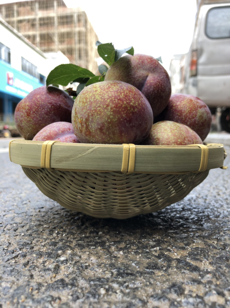 钱排三华李#礼品果，超市供应#社区团购！