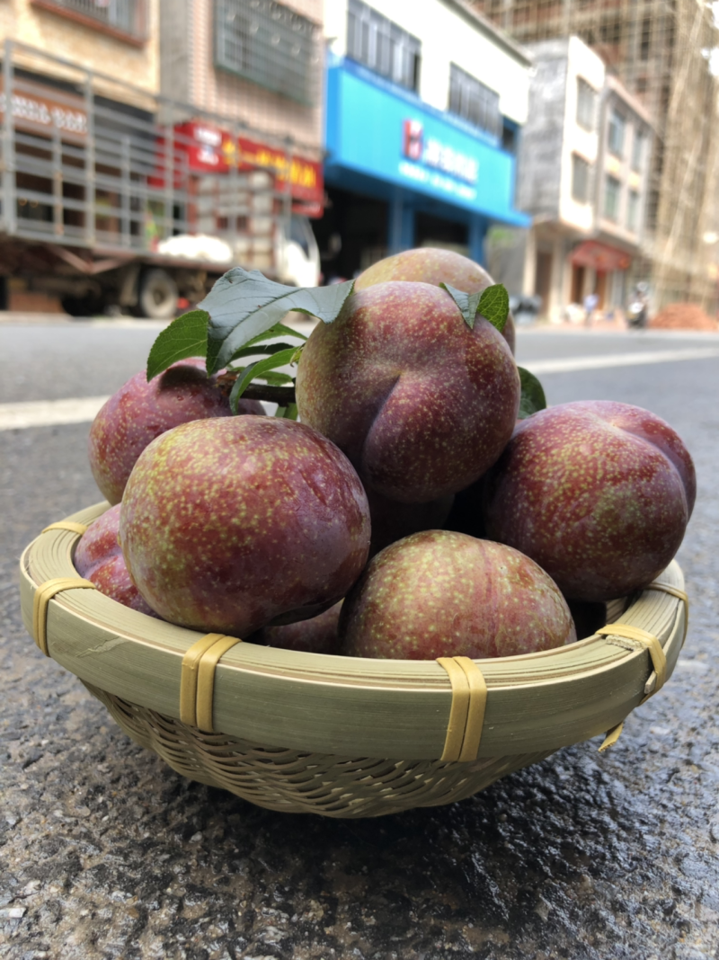 钱排三华李#礼品果，超市供应#社区团购！