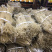 农家手工红薯粉