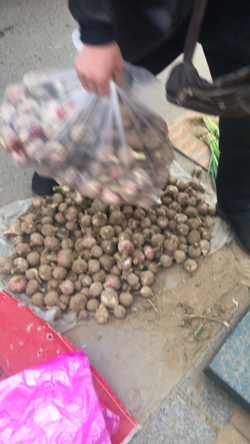 大蒜
