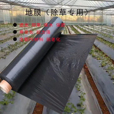 黑地膜