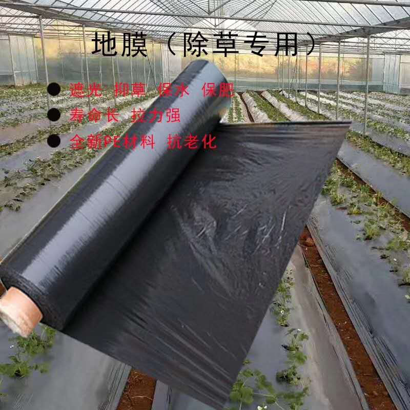 黑地膜