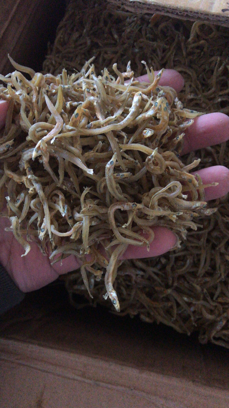 银鱼干，朝鲜，