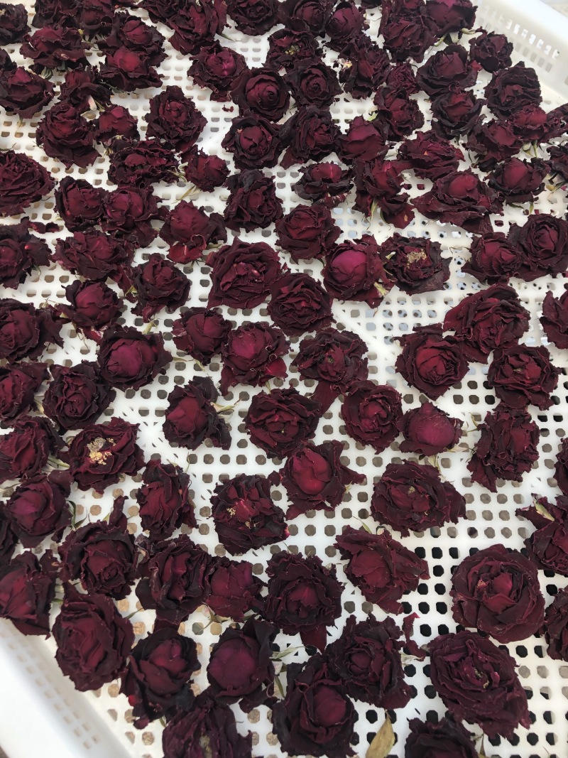 云南食用玫瑰花茶美容养颜一朵一杯冲泡一整天支持代发，批发