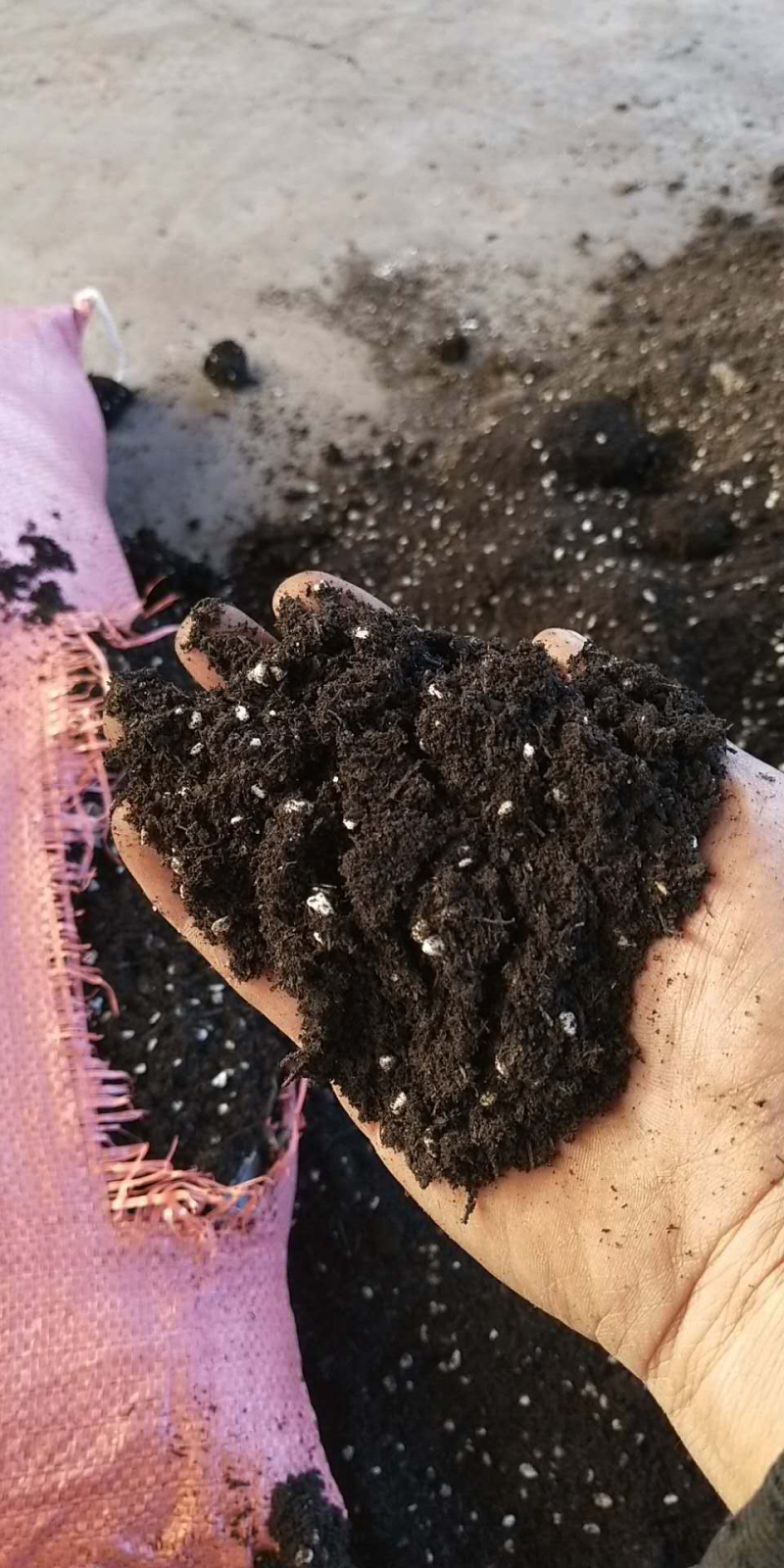 云南产地直发育苗基质专业的育苗基质针对蔬菜茄果育苗栽培
