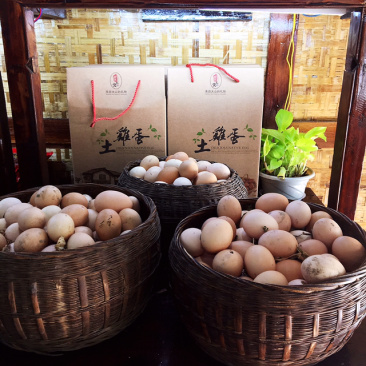 农家土鸡蛋