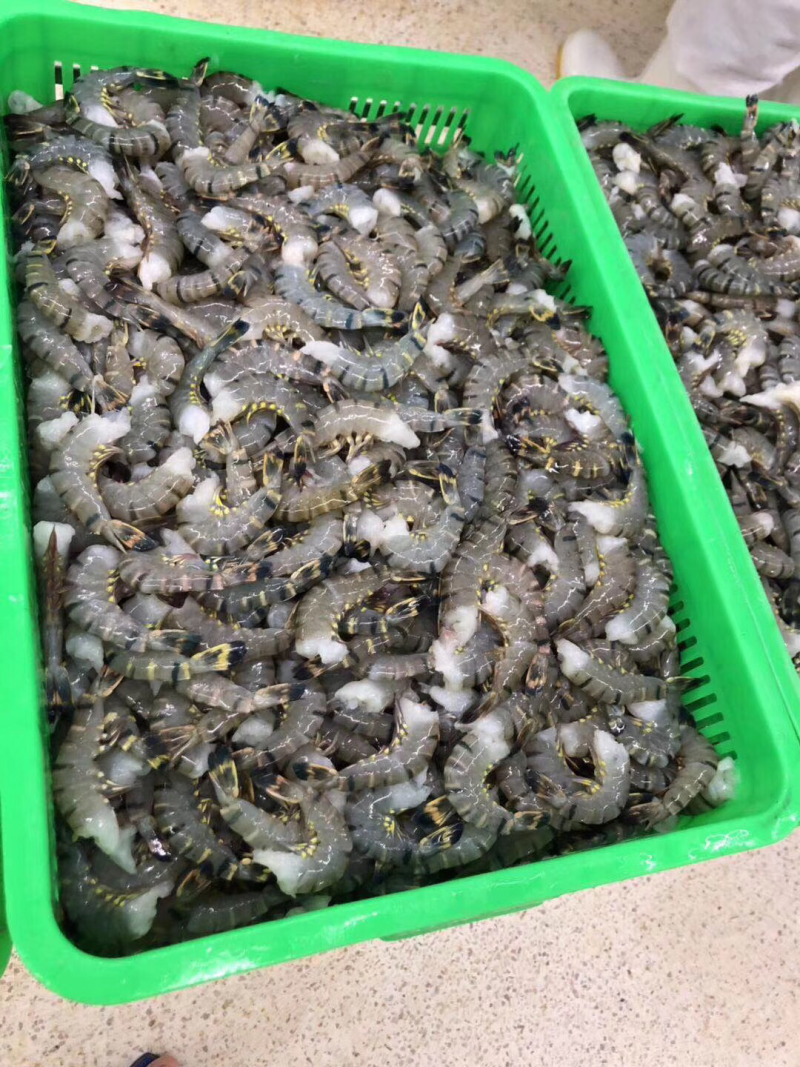 草虾仁，去头草虾