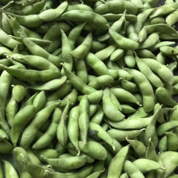 新鲜广西博白绿宝石毛豆非冷冻