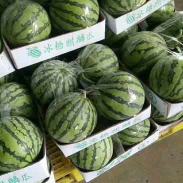 8424西瓜