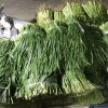 张勤的一亩田店铺