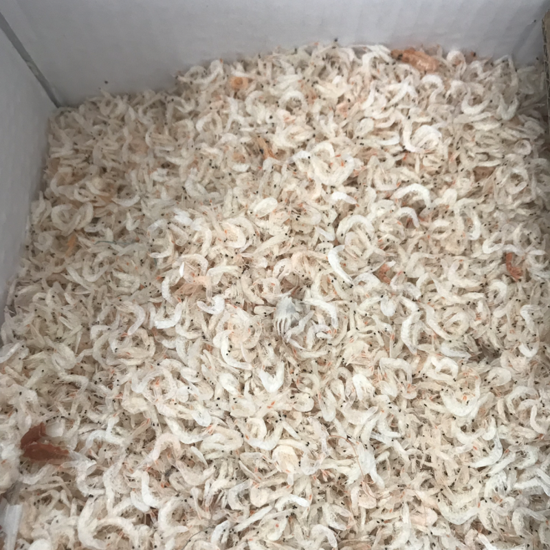 新鲜的虾皮到货了。