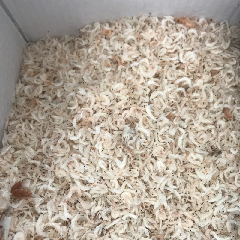 新鲜的虾皮到货了。