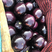 河北精品紫光茄子，一手货源常年供应，基地直销欢迎来电咨询