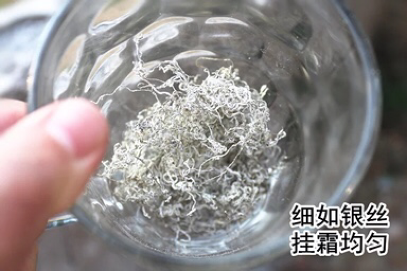 新茶特级藤茶