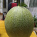 西州蜜小蜜25娇密25