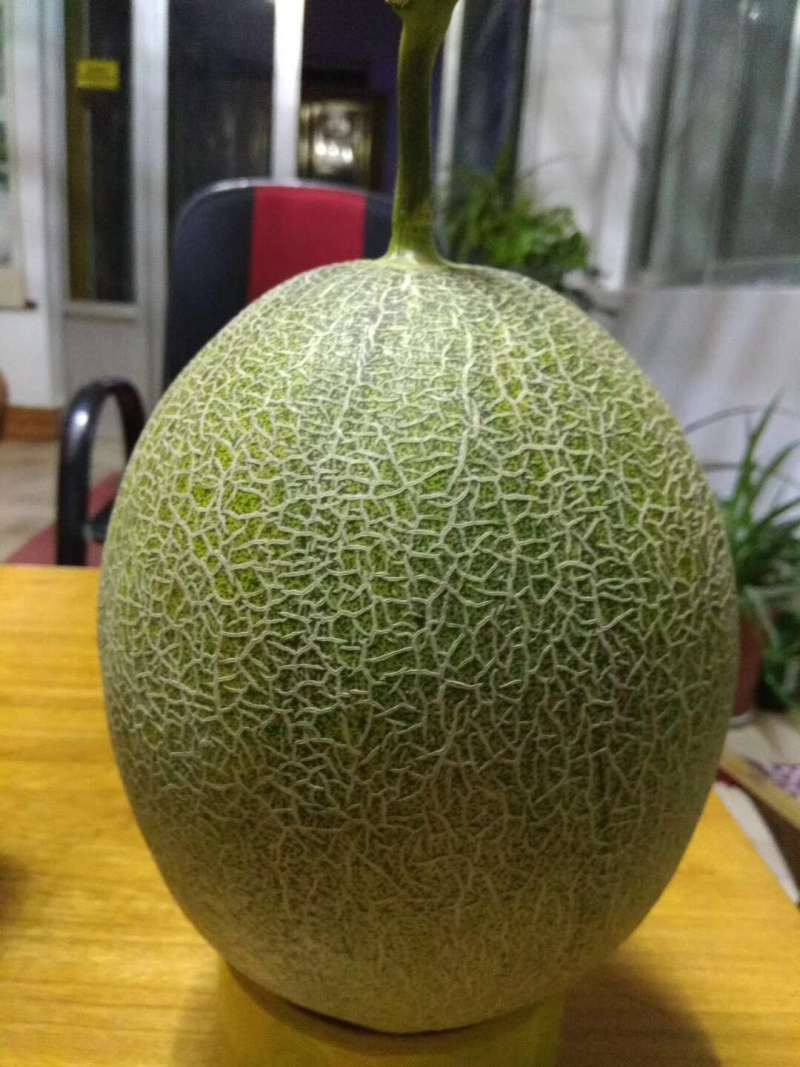 西州蜜小蜜25娇密25