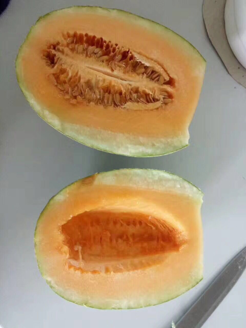 哈密瓜小蜜25娇密25西州蜜