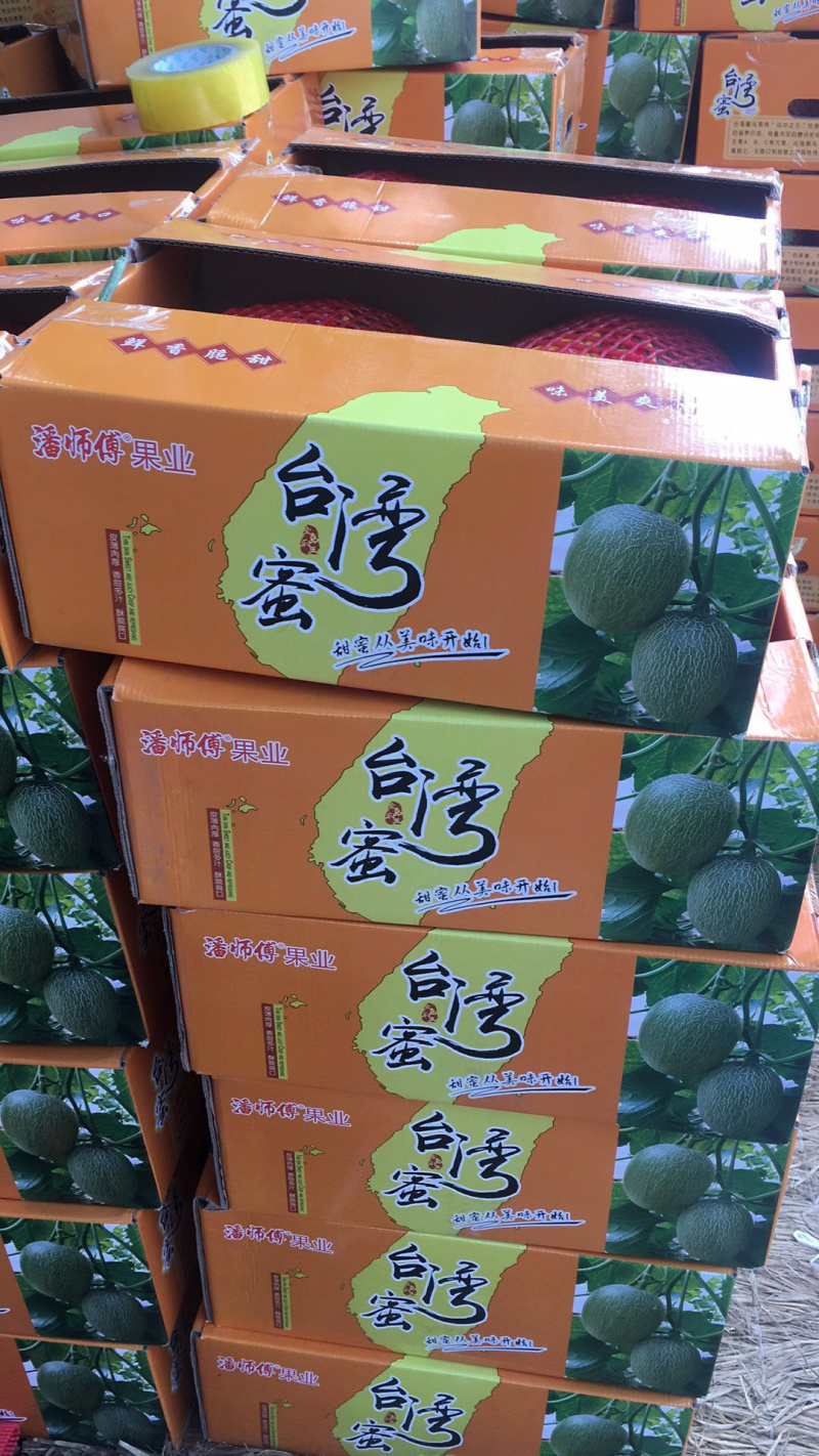 哈密瓜小蜜25娇密25西州蜜