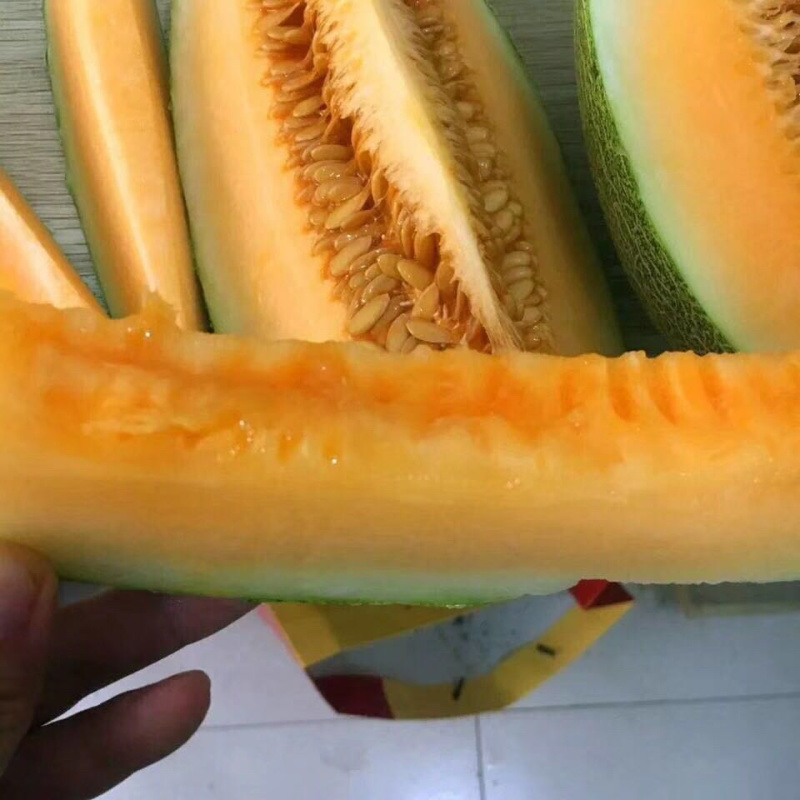 西州蜜小蜜25娇密25西州蜜