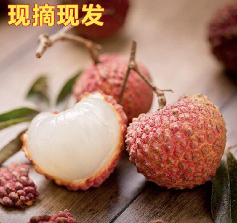 高州荔枝