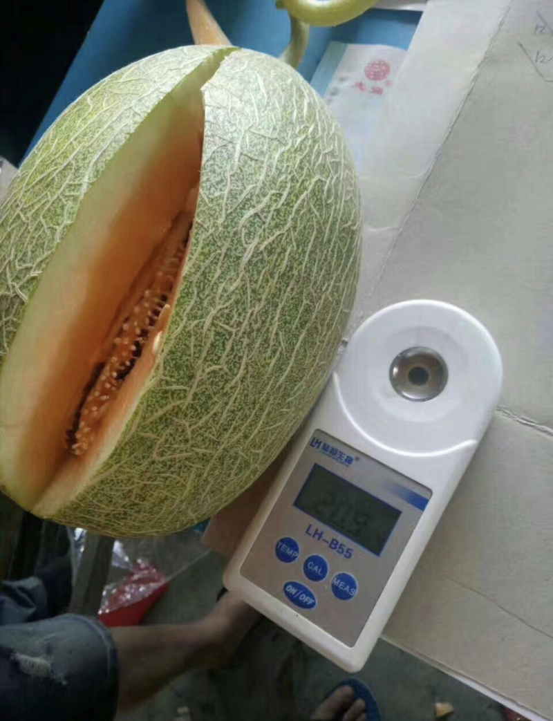 哈密瓜小蜜25西州蜜