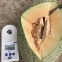 哈密瓜小蜜25西周蜜
