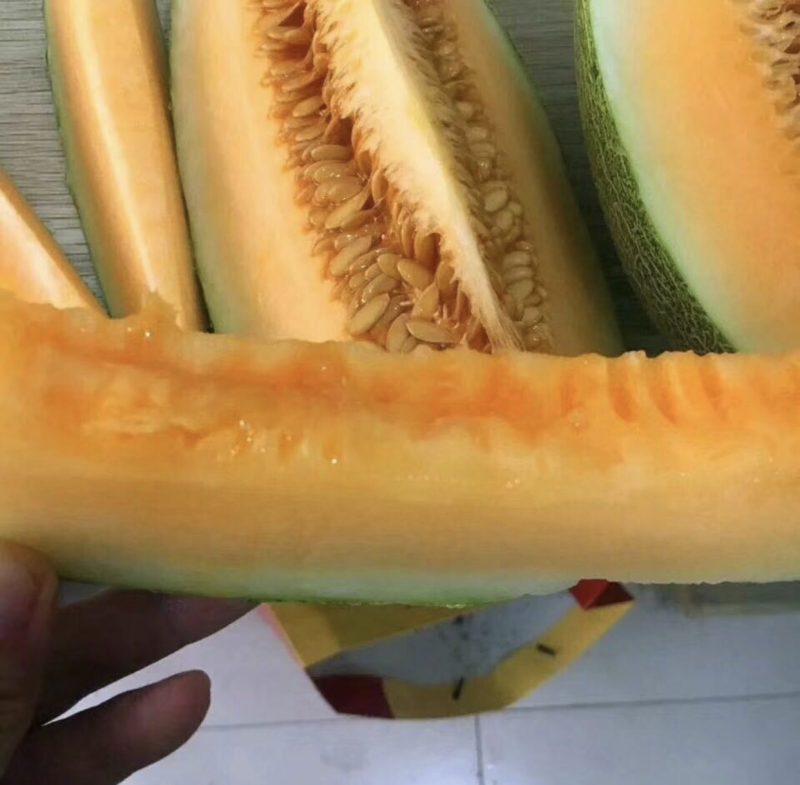 哈密瓜小蜜25西周蜜