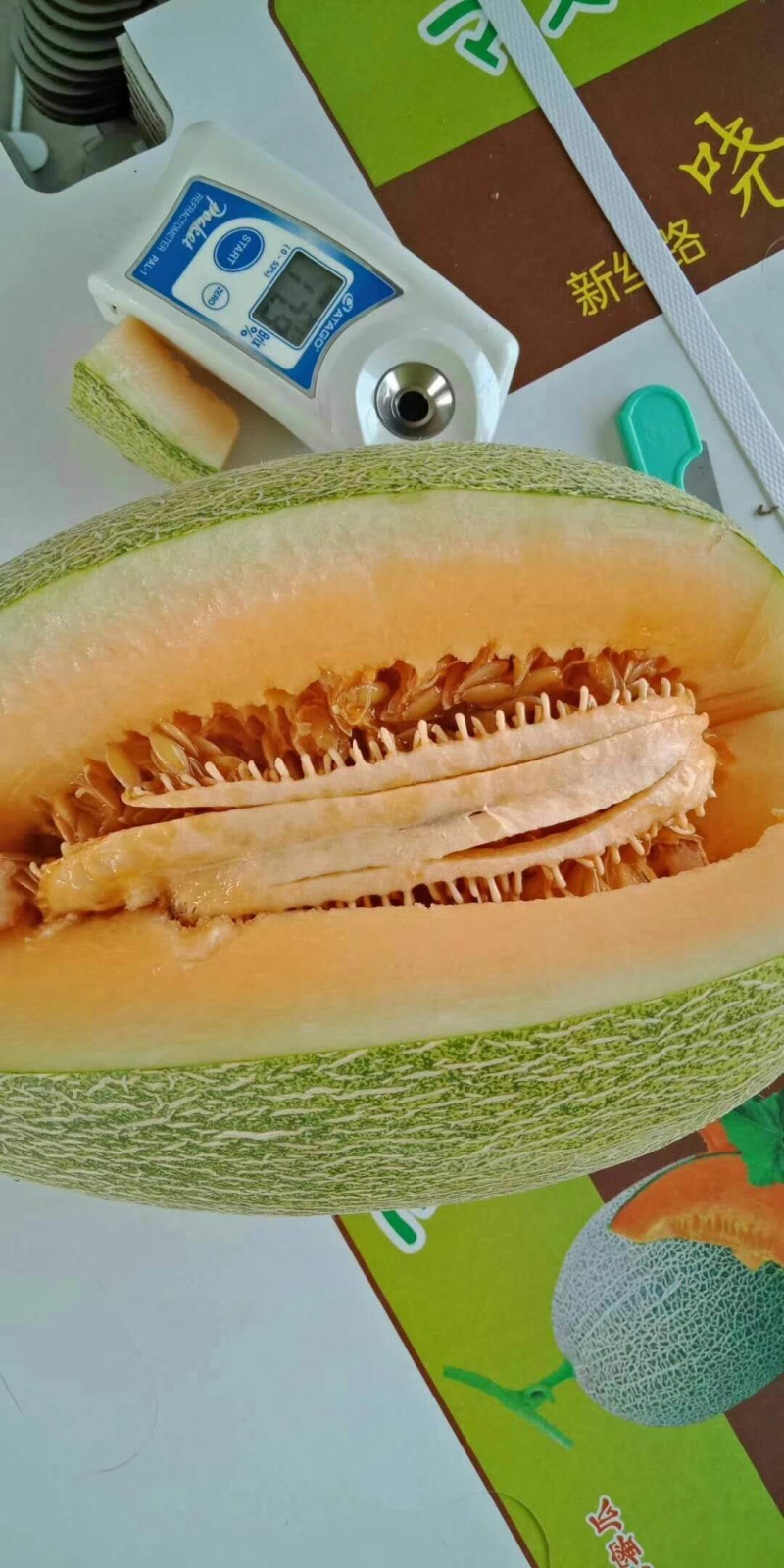 哈密瓜小蜜25娇密25西州蜜瓜